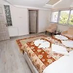 Ergun Villa Ortaca